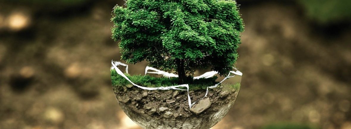 Ecochurch