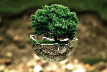 Ecochurch
